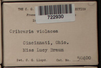 Image Associated With the Occurence